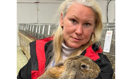 Associazione Allevatori Fvg: i conigli friulani campioni italiani ed europei