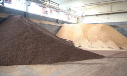 SPRECHI NATALIZI, OGNI ANNO SUGLI SCAFFALI OLTRE UN MILIARDO DI TONNELLATE DI CIBO INVENDUTO: ECCO I 5 TREND DI INNOVAZIONE PER VALORIZZARE LE ECCEDENZE