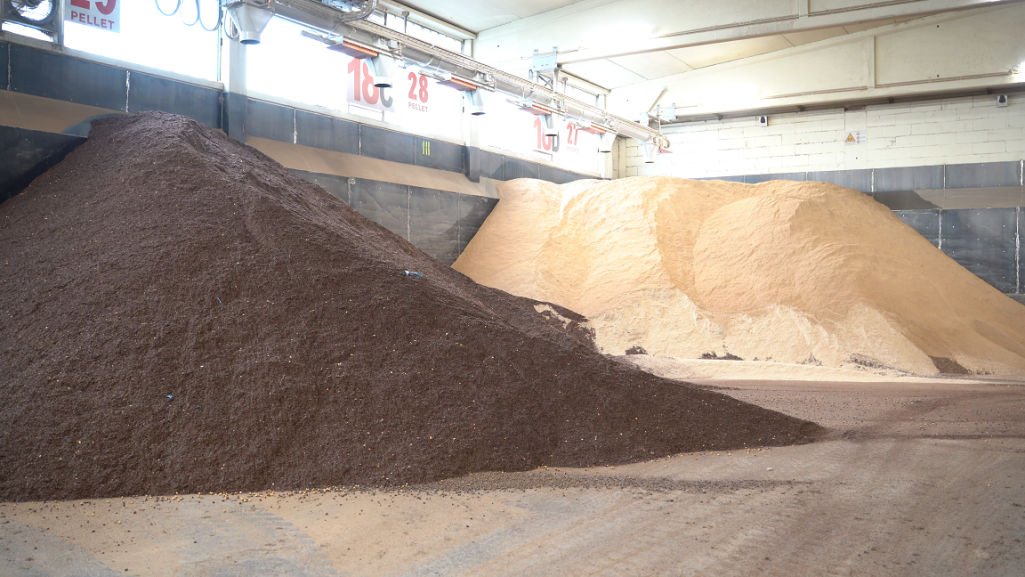 SPRECHI NATALIZI, OGNI ANNO SUGLI SCAFFALI OLTRE UN MILIARDO DI TONNELLATE DI CIBO INVENDUTO: ECCO I 5 TREND DI INNOVAZIONE PER VALORIZZARE LE ECCEDENZE