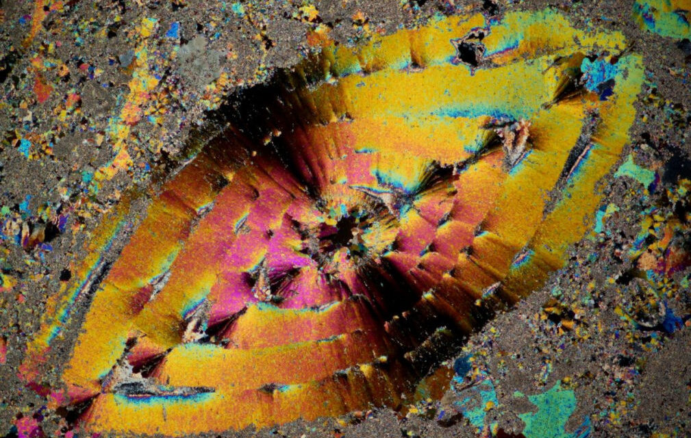 VISITE GUIDATE ALLA MOSTRA “IL MICROMONDO DEL CARSO”