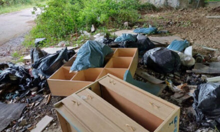 RIFIUTI ABBANDONATI IN VIA DI PECO: 5 IMPRESE E 12 PRIVATI DENUNCIATI A SEGUITO DELL’INDAGINE DELLA POLIZIA LOCALE DI TRIESTE
