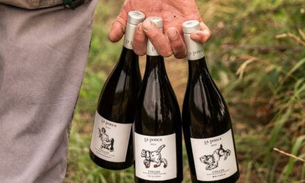 La Ponca conquista riconoscimenti nazionali ed internazionali: la Malvasia 2022 tra i vini più premiati