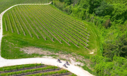 Le Colline del Prosecco crescono come destinazione sportiva: il 25 e 26 aprile torna Nova Eroica Prosecco Hills