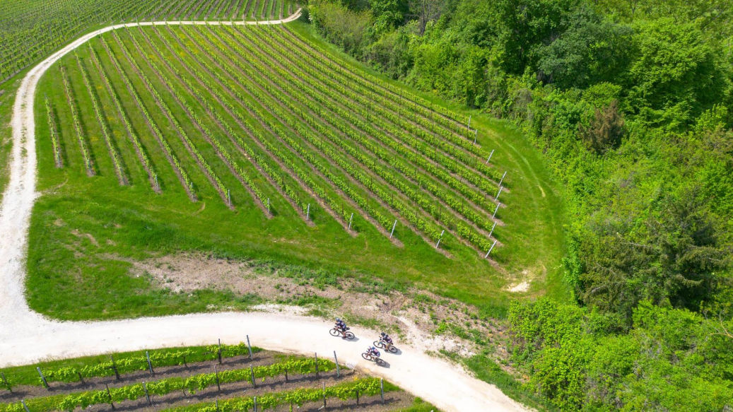 Le Colline del Prosecco crescono come destinazione sportiva: il 25 e 26 aprile torna Nova Eroica Prosecco Hills