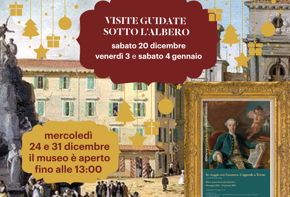 VISITE GUIDATE SOTTO L’ALBERO AL MUSEO PETRARCHESCO PICCOLOMINEO