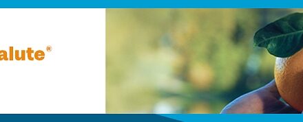 LE ARANCE DELLA SALUTE DI FONDAZIONE AIRC TORNANO IN 3.000 PIAZZE E SCUOLE PER SOSTENERE LA RICERCA SUL CANCRO E PROMUOVERE LA PREVENZIONE