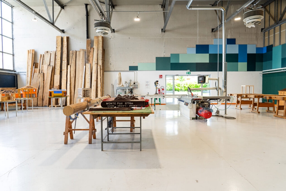 All’ISIS Solari parte un nuovo indirizzo quadriennale: TECNICO GEO-FORESTALE