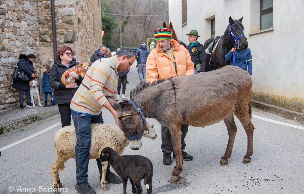 Tradizione, cultura del cibo e comunità: Fagagna di nuovo pronta per la Fieste dal purcitâr
