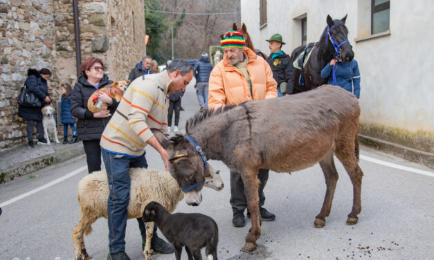 Tradizione, cultura del cibo e comunità: Fagagna di nuovo pronta per la Fieste dal purcitâr
