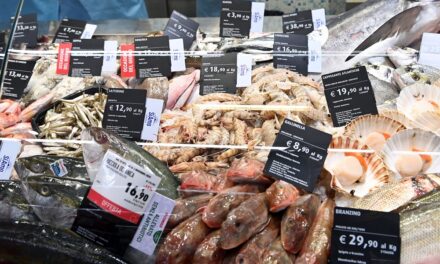 Riapre il Conad di Valdobbiadene (TV)