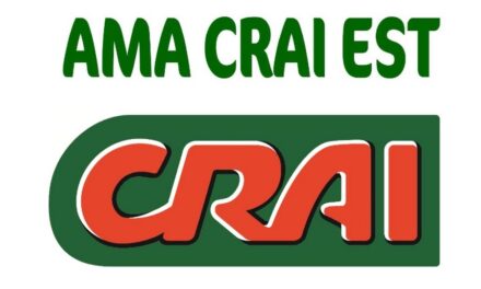 AMA CRAI EST E FORUM IULII RUGBY FOOTBALL CLUB INSIEME PER PROMUOVERE LO SPORT FEMMINILE SUL TERRITORIO