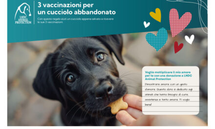 A SAN VALENTINO MOLTIPLICA L’AMORE REGALA UNA VITA MIGLIORE AGLI ANIMALI PIÙ SFORTUNATI