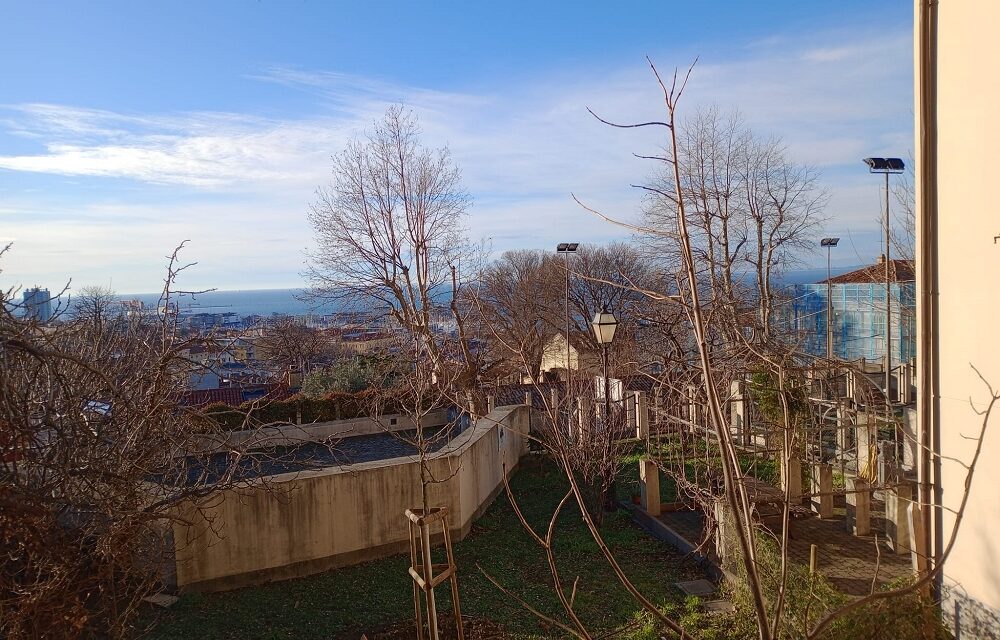 Giovani e rigenerazione urbana: nuova vita al giardino del Polo Giovani Toti