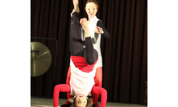 NELLA BIBLIOTECA JOPPI DI UDINE, IL 14 GENNAIO, LO SPETTACOLO “DOPPIA VISIONE”, CHE RICHIAMA LE FIGURE DEI POETI SYLVIA PLATH E TED HUGHES