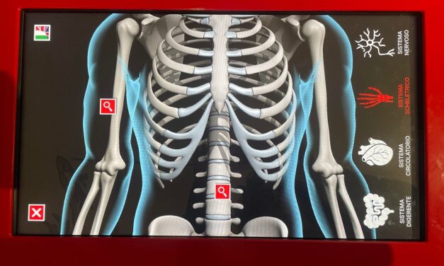 Per “Domenica al museo” all’Immaginario Scientifico di Trieste “Il corpo umano è un sistema… complesso”