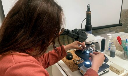 All’Immaginario Scientifico di Pordenone si va alla scoperta di universi nascosti e sconosciuti… in casa