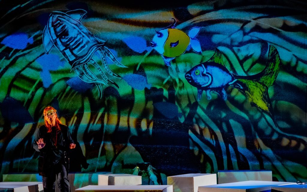 Riparte Teatro Bambino: al Giovanni da Udine Le avventure di Pesce Gaetano