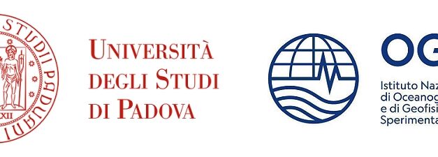 Laguna di Venezia: ecosistema minacciato da una noce di mare