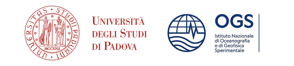 Laguna di Venezia: ecosistema minacciato da una noce di mare