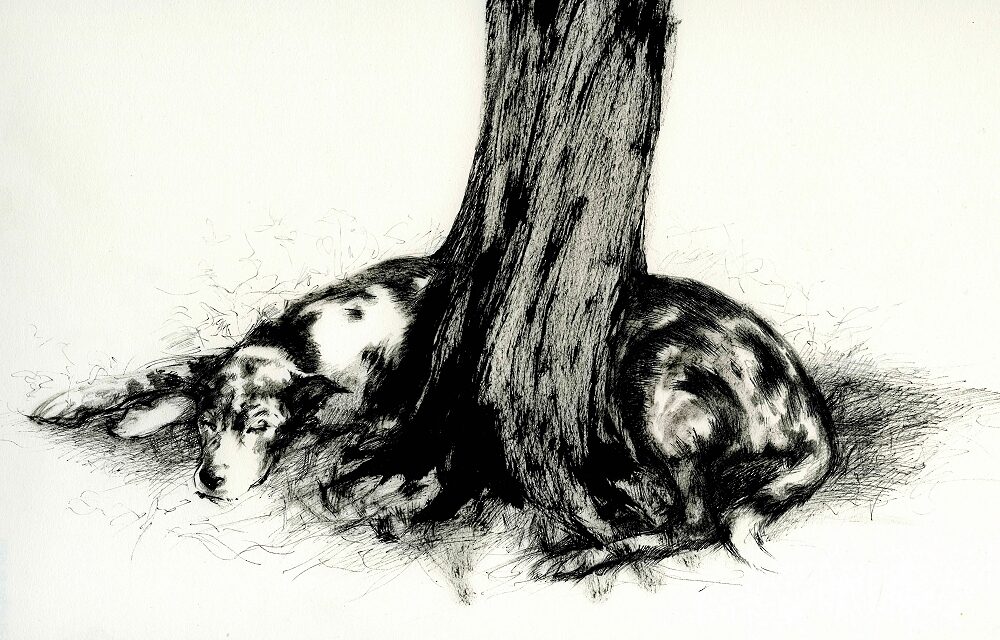 Incontro con l’autrice Titta C. Raccagni e collettivo Robida e visita guidata alla mostra LA SCOMPARSA DEGLI ANIMALI