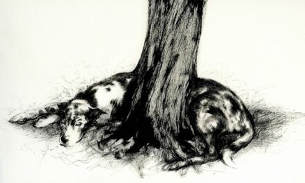 Incontro con l’autrice Titta C. Raccagni e collettivo Robida e visita guidata alla mostra LA SCOMPARSA DEGLI ANIMALI