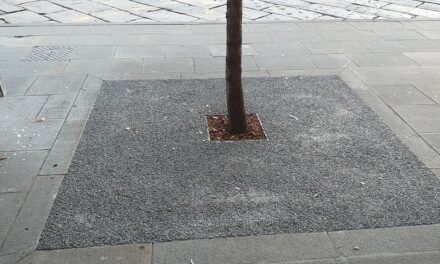 PIAZZA GARIBALDI: AL VIA GLI INTERVENTI DI RIQUALIFICAZIONE E MESSA IN SICUREZZA DELLE ALBERATURE E DELLE AIUOLE