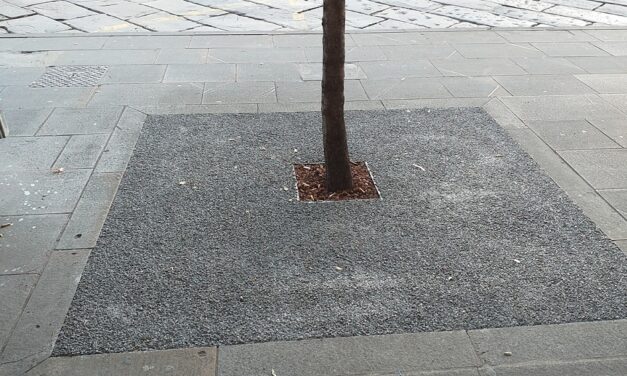 PIAZZA GARIBALDI: AL VIA GLI INTERVENTI DI RIQUALIFICAZIONE E MESSA IN SICUREZZA DELLE ALBERATURE E DELLE AIUOLE