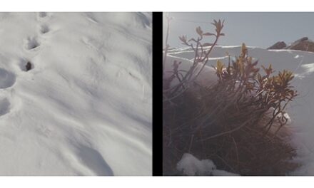 FOTOGRAFIA, Olimpiade MILANO CORTINA 2026: FVG PROTAGONISTA CON IL FOTOARTISTA LUCA VIGLIANI ALLA MOSTRA”SCENARI ALPINI” MUSEO NAZIONALE DI FOTOGRAFIA, MILANO Cinisello