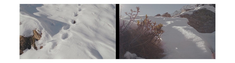 FOTOGRAFIA, Olimpiade MILANO CORTINA 2026: FVG PROTAGONISTA CON IL FOTOARTISTA LUCA VIGLIANI ALLA MOSTRA”SCENARI ALPINI” MUSEO NAZIONALE DI FOTOGRAFIA, MILANO Cinisello