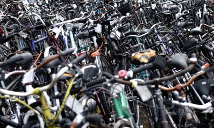 Selle Royal sostiene Piedelibero, per dare “una seconda opportunità” ai detenuti (e alle biciclette)