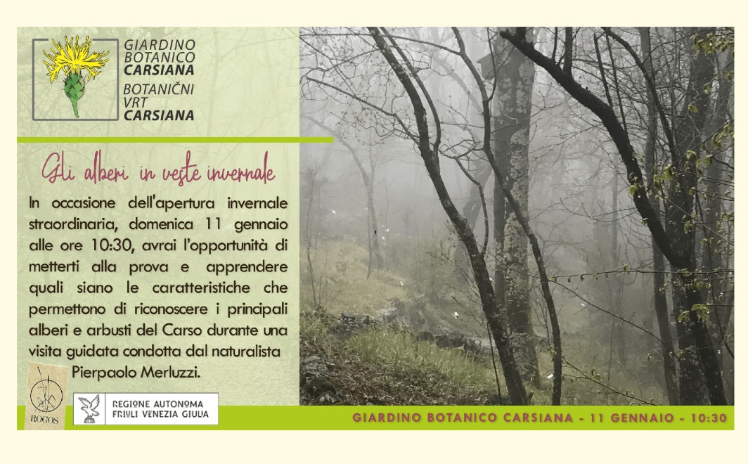 Gli alberi in veste invernale al Giardino botanico Carsiana