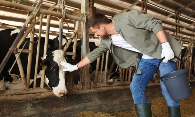 Associazione Allevatori Fvg: proposte formative per aziende di successo