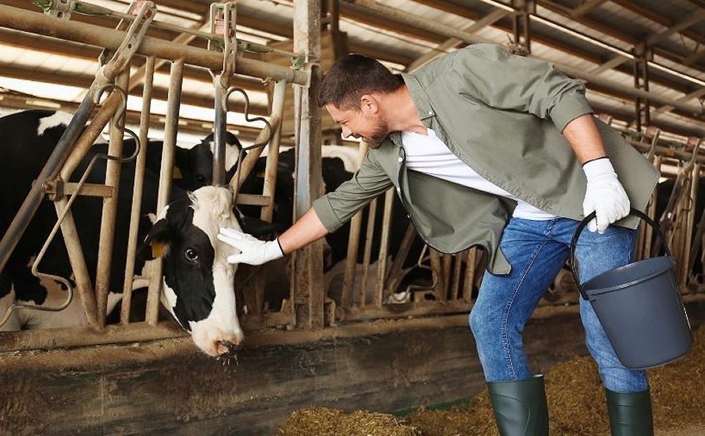 Associazione Allevatori Fvg: proposte formative per aziende di successo