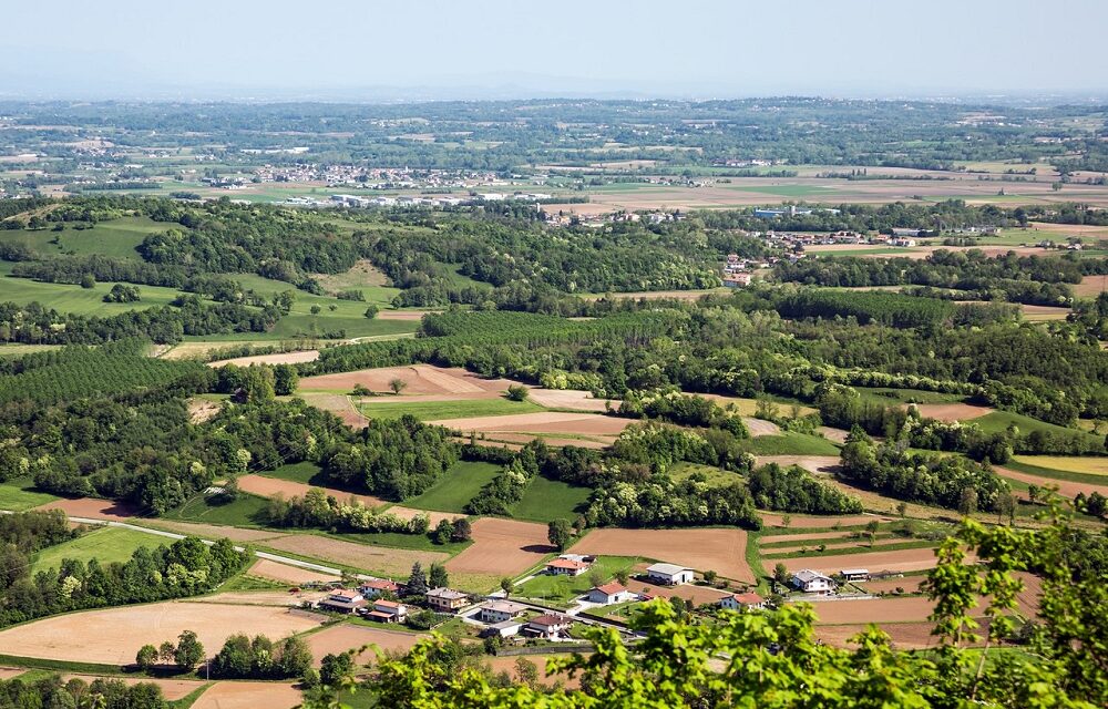 Sviluppo rurale FVG PAC 2023- 2027: la Regione aumenta dal 30% al 50% la percentuale di anticipo ai beneficiari per tre bandi