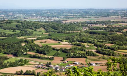 Sviluppo rurale FVG PAC 2023- 2027: la Regione aumenta dal 30% al 50% la percentuale di anticipo ai beneficiari per tre bandi