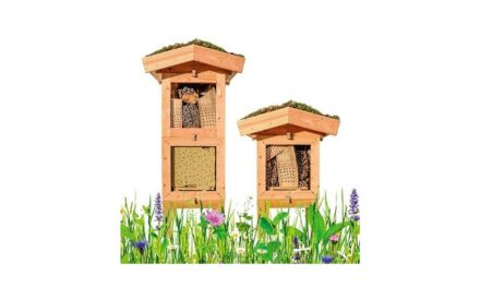 PRESENTATO BIOBOX, PROGETTO PER MIGLIORARE IL VERDE DELLE CITTÀ CON AZIONI A FAVORE DI UCCELLI, IMPOLLINATORI E PIPISTRELLI