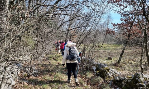 25 ANNI DI CURIOSI DI NATURA: PER “PIACEVOLMENTE CARSO” D’INVERNO ESCURSIONE SUL SENTIERO RISELCE (Sgonico)
