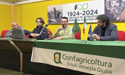 Confagricoltura Fvg: cresce l’olivicoltura di qualità con la formazione