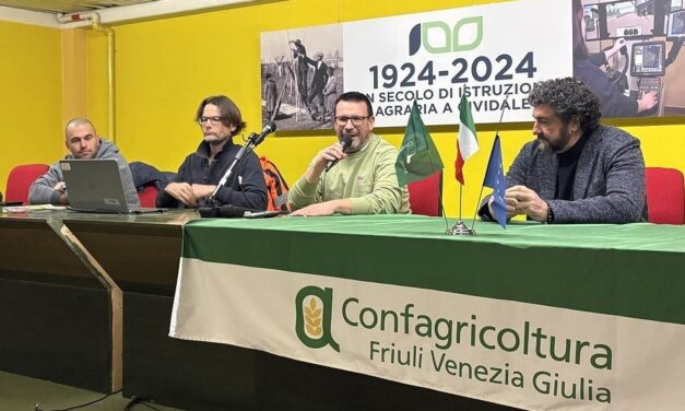Confagricoltura Fvg: cresce l’olivicoltura di qualità con la formazione