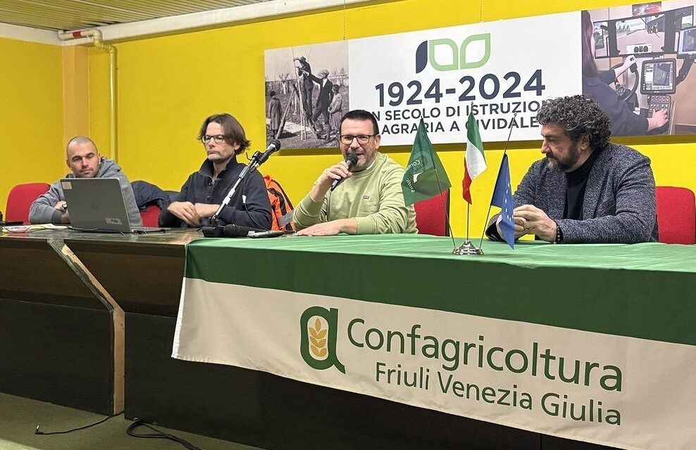 Confagricoltura Fvg: cresce l’olivicoltura di qualità con la formazione