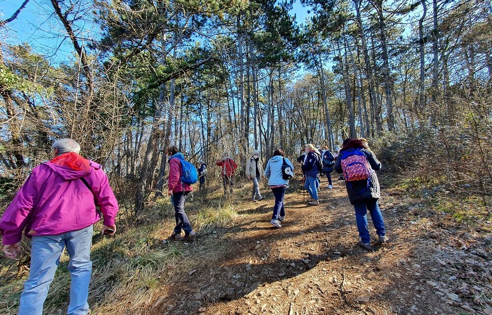 25 ANNI DI CURIOSI DI NATURA: “PIACEVOLMENTE CARSO” D’INVERNO DOMENICA 8 FEBBRAIO PROPONE UN’ESCURSIONE SUL MONTE GAIA (Gropada, TS)