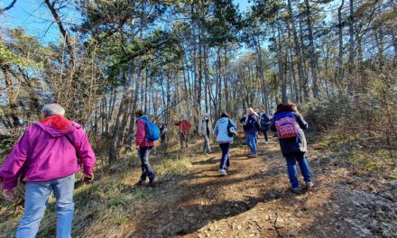 25 ANNI DI CURIOSI DI NATURA: “PIACEVOLMENTE CARSO” D’INVERNO DOMENICA 8 FEBBRAIO PROPONE UN’ESCURSIONE SUL MONTE GAIA (Gropada, TS)