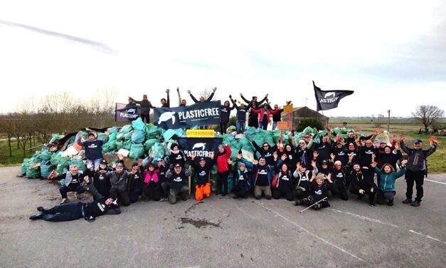 Oltre 10 tonnellate di rifiuti rimosse nel Delta del Po, nel weekend maxi pulizia con 140 volontari Plastic Free