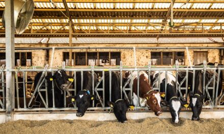 Associazione Allevatori Fvg: prima stalla regionale certificata Sqnba