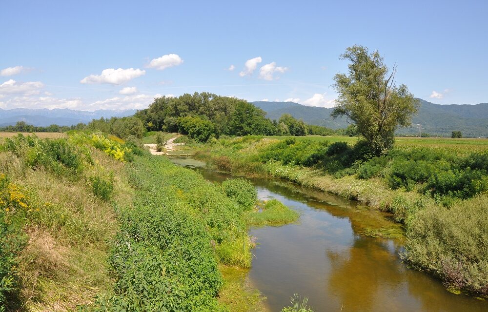 10MILA PASSI DI SALUTE A MOIMACCO SABATO 21 MARZO ore 10 PRESENTAZIONE E PASSEGGIATA