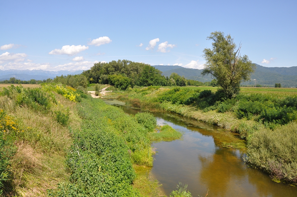 10MILA PASSI DI SALUTE A MOIMACCO SABATO 21 MARZO ore 10 PRESENTAZIONE E PASSEGGIATA