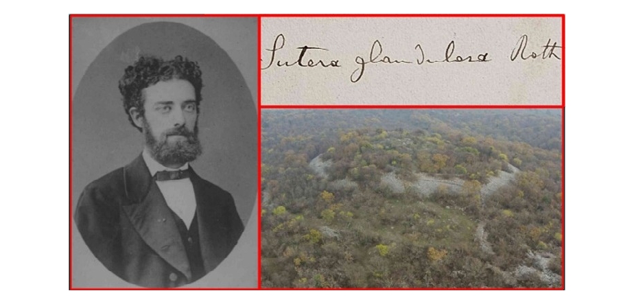 Ricordo di Carlo Marchesetti, direttore del Museo Civico di Storia Naturale, a 100 anni dalla morte