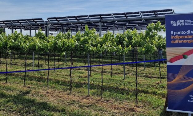 Agrivoltaico, l’analisi di Ape Fvg si è rivelata corretta