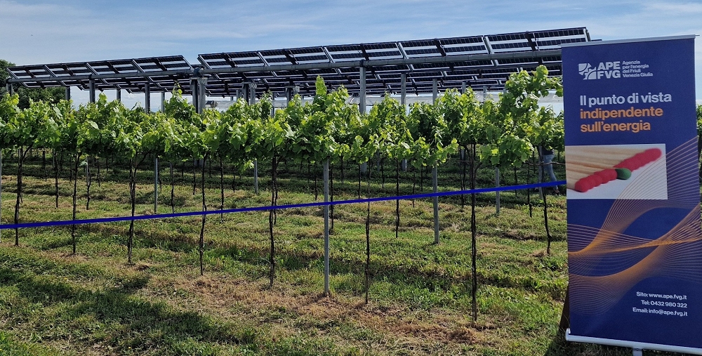 Agrivoltaico, l’analisi di Ape Fvg si è rivelata corretta