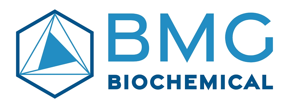 BMG BioChemical è l’evoluzione dei biomateriali funzionali in healthcare: il polo di Torviscosa diventa hub industriale della tecnologia Hyaluromimethic®